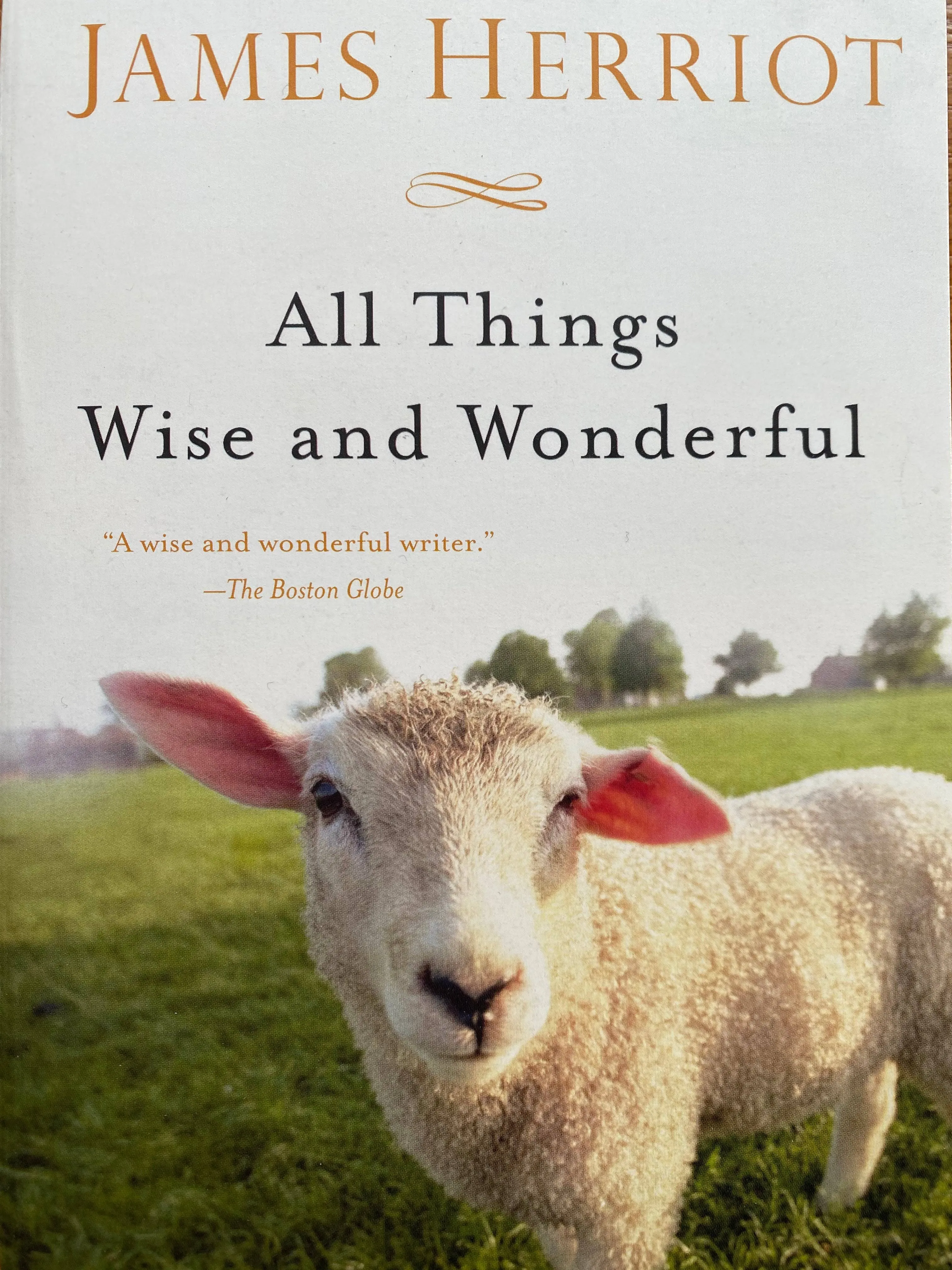 All Things Wise and Wonderful