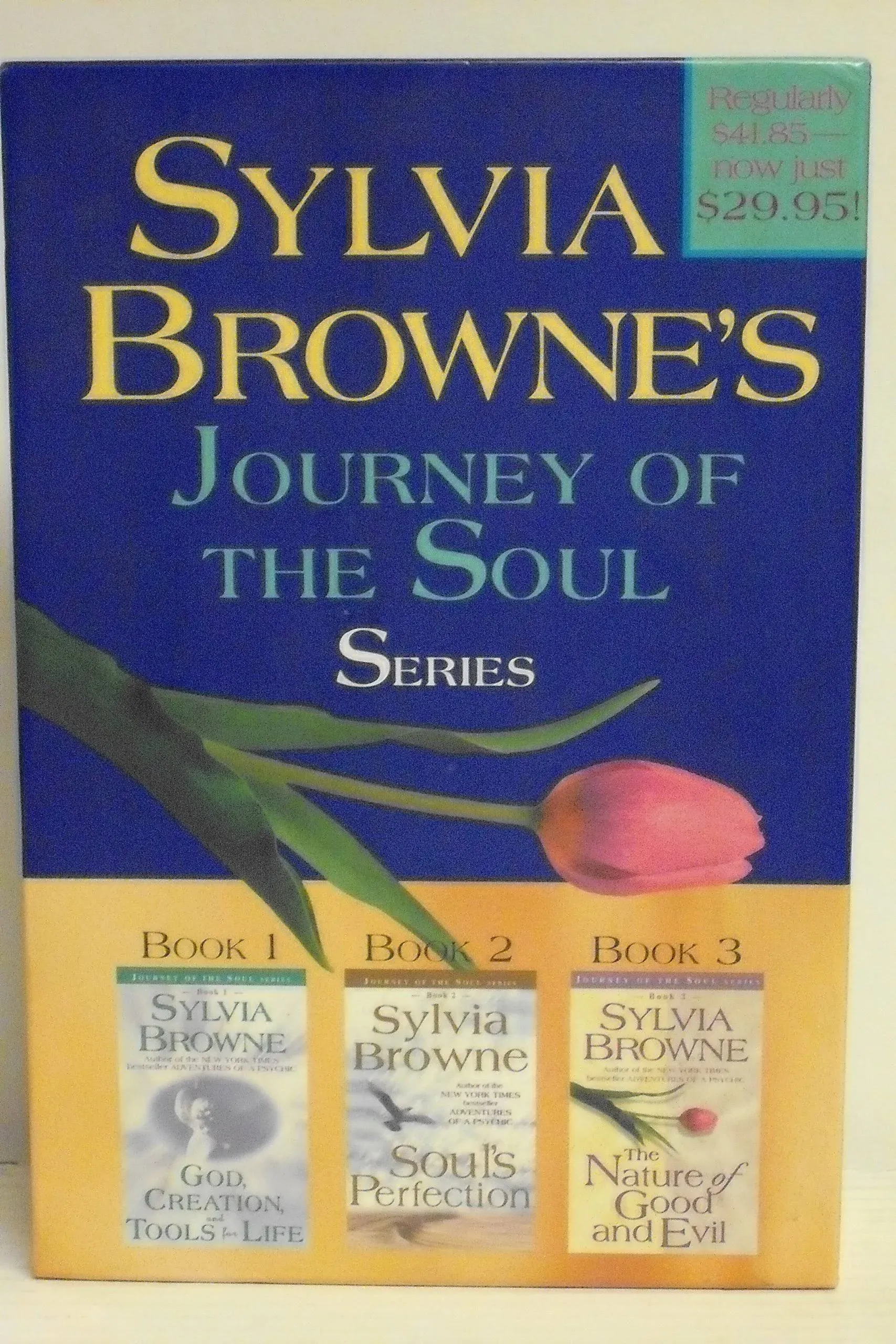 Journey of the Soul [Book]