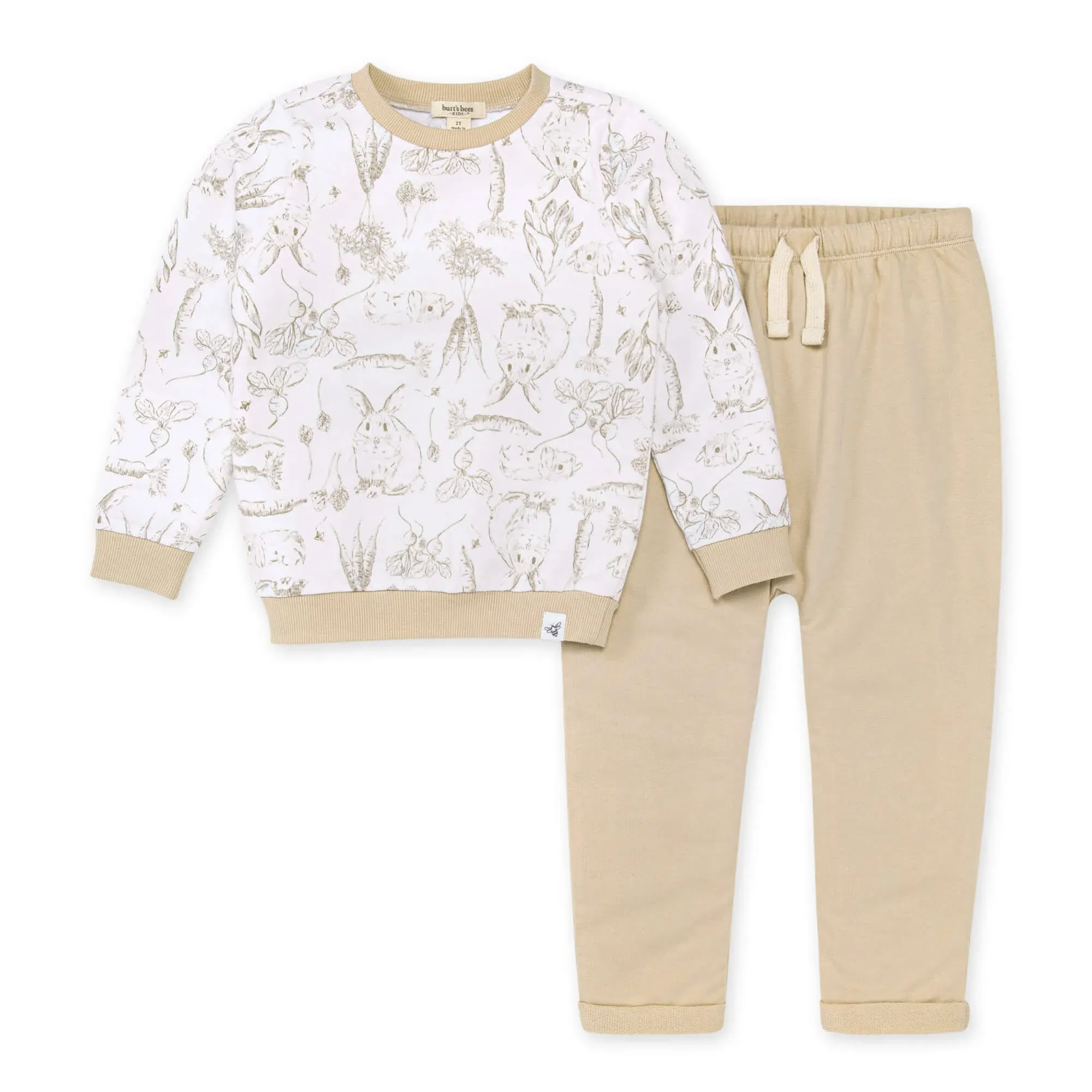 Burt's Bees Baby - Bunny Toile French Terry Top & Harem Pant Set Size 2 Toddler