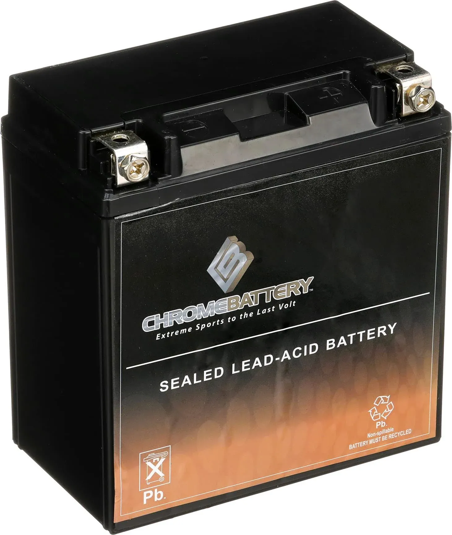 Chrome YTX12-BS Motorcycle Battery