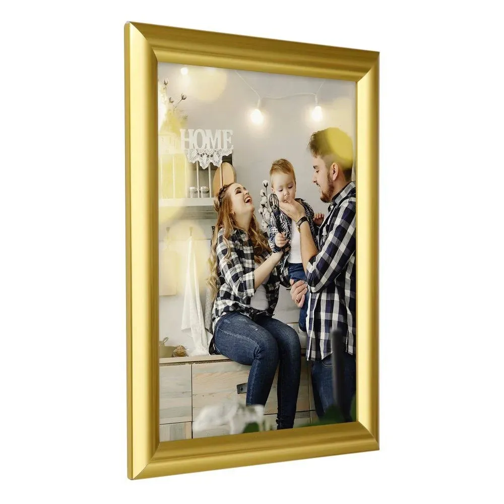 MT Displays Snap Frame, Gold