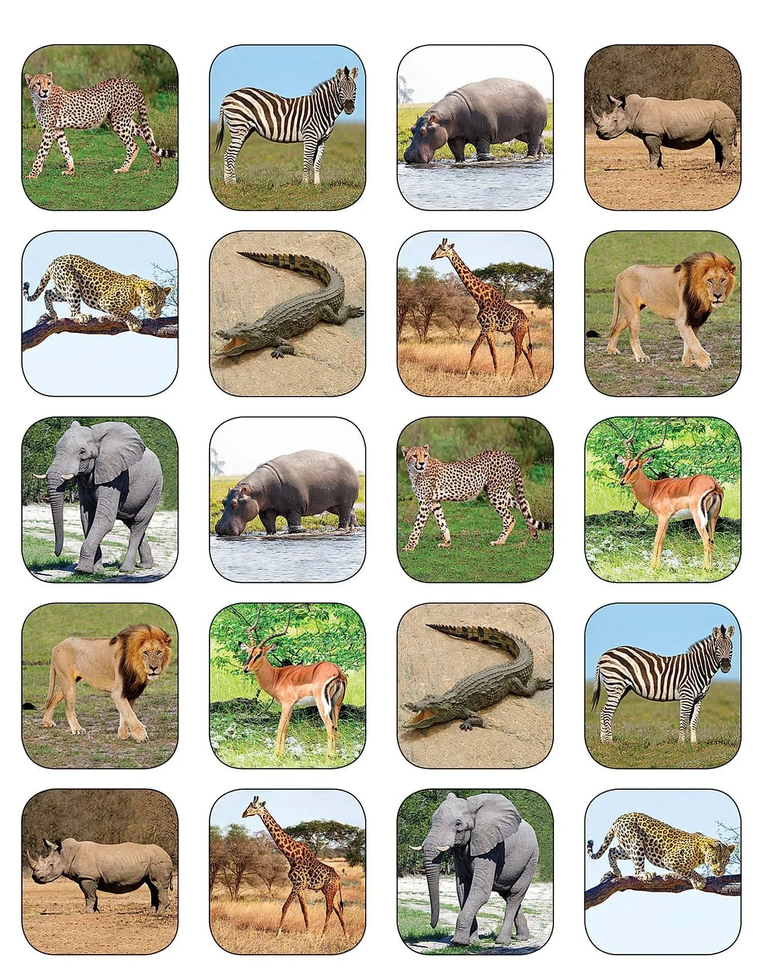 Teacher Created Resources Safari Animals Stickers