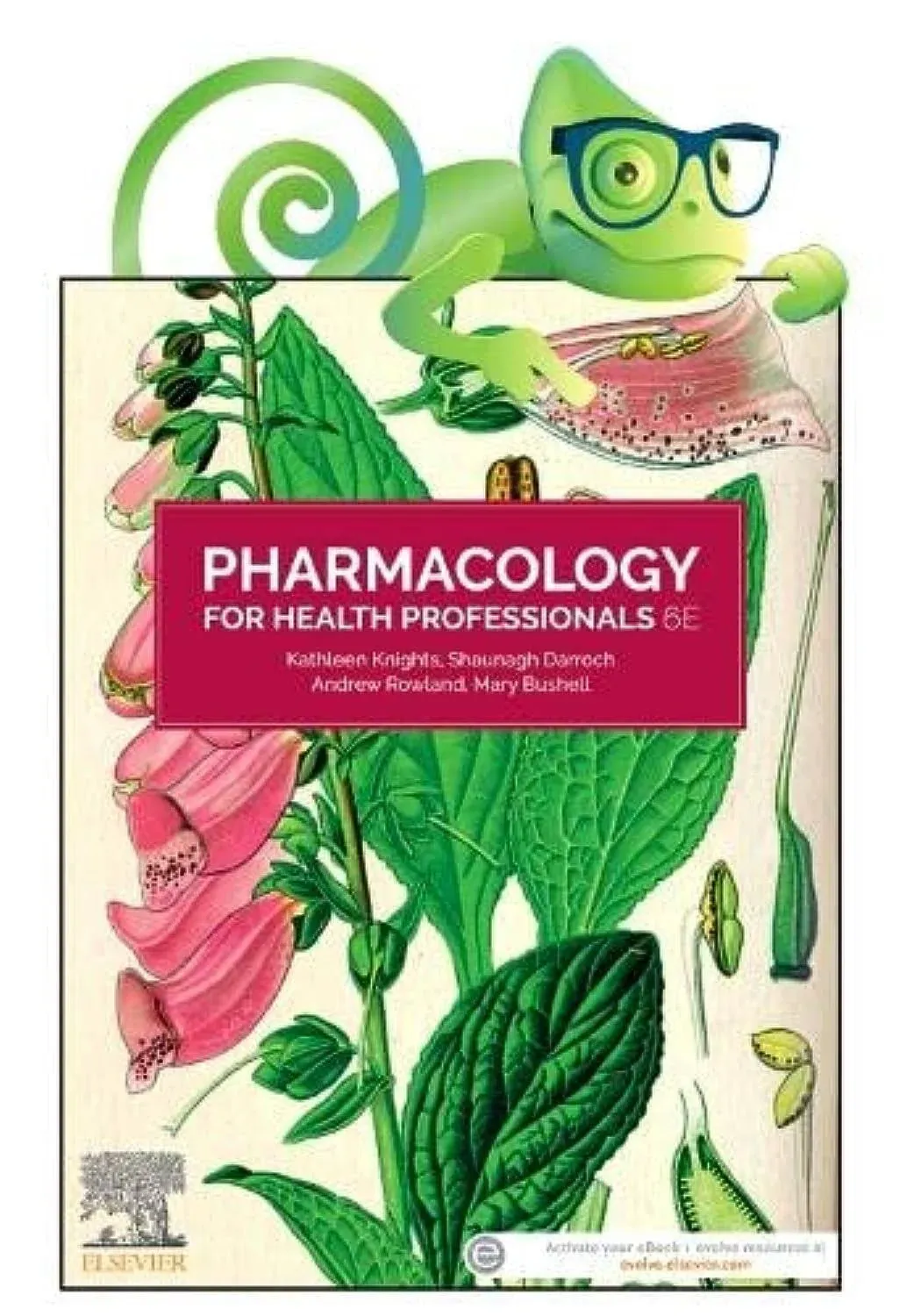 Pharmacology for Health Professionals, 6e: Includes Elsevier Adaptive Quizzing for Pharmacology for Health Professionals 6e