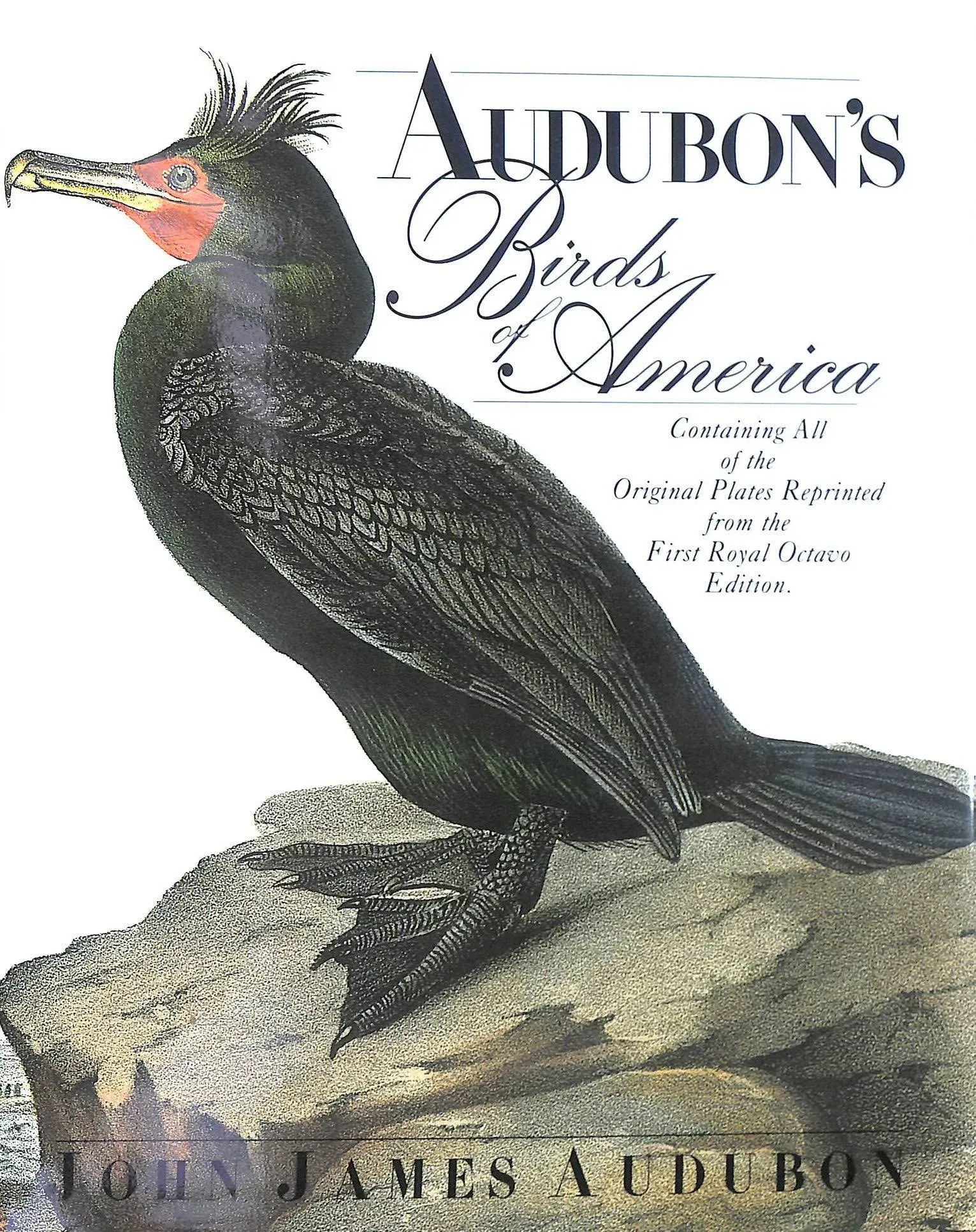 Audubon’s Birds Of America Royal Octavo Collection 1994