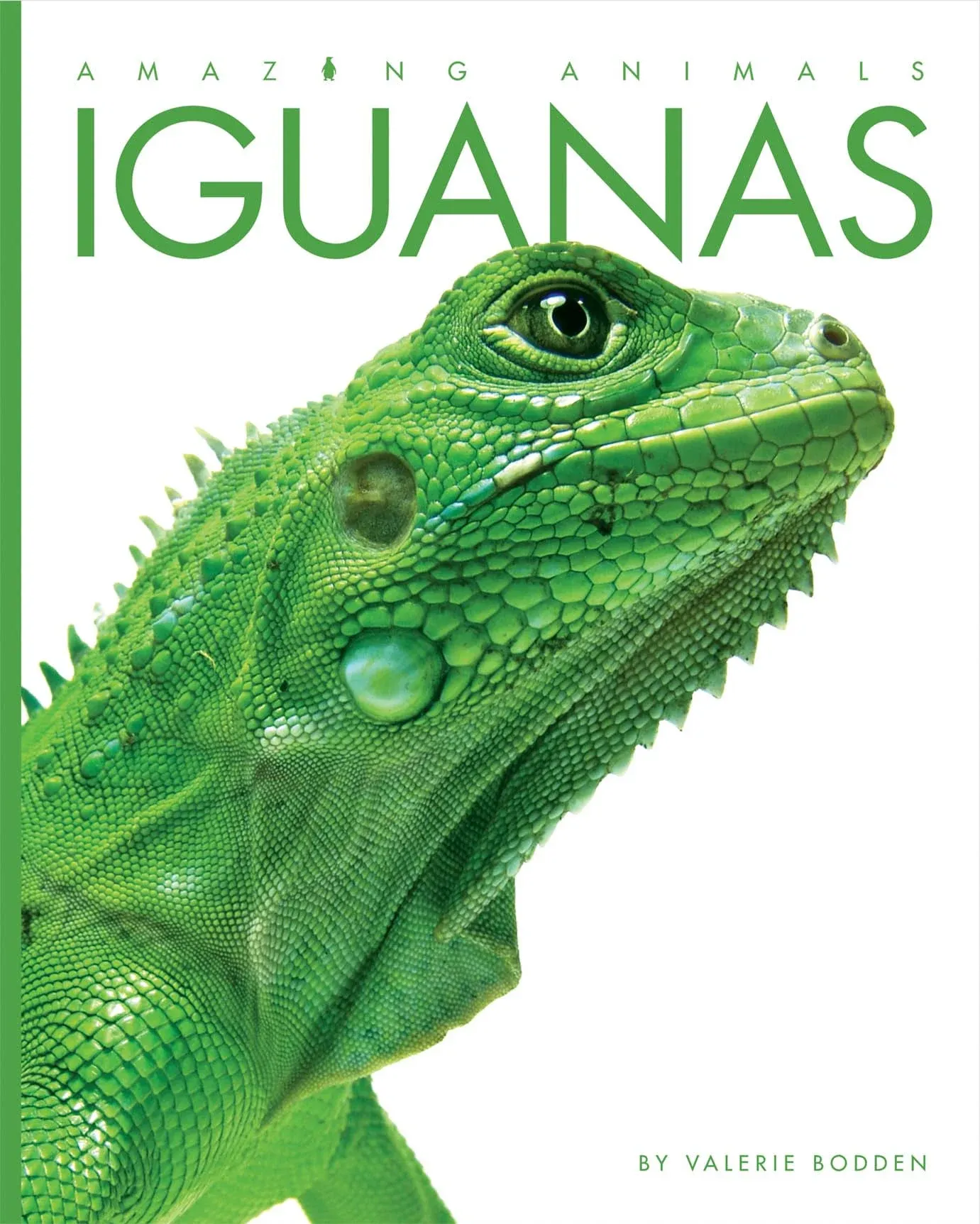 Amazing Animals: Iguanas