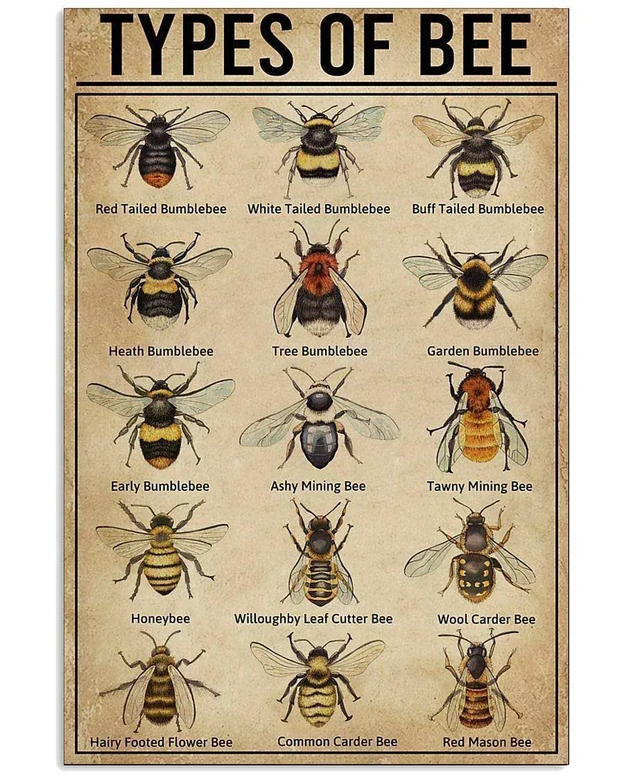 Types of Bee Retro Nostalgic Art Print Poster Tin Sign Cafe Bar Metal Sign Garage Plaque 8x12 Inches