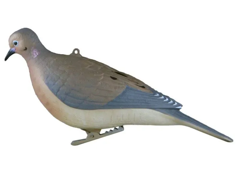 Avery Mourning Doves 6 Pack