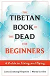 Tibetan Book of the Dead for Beginners